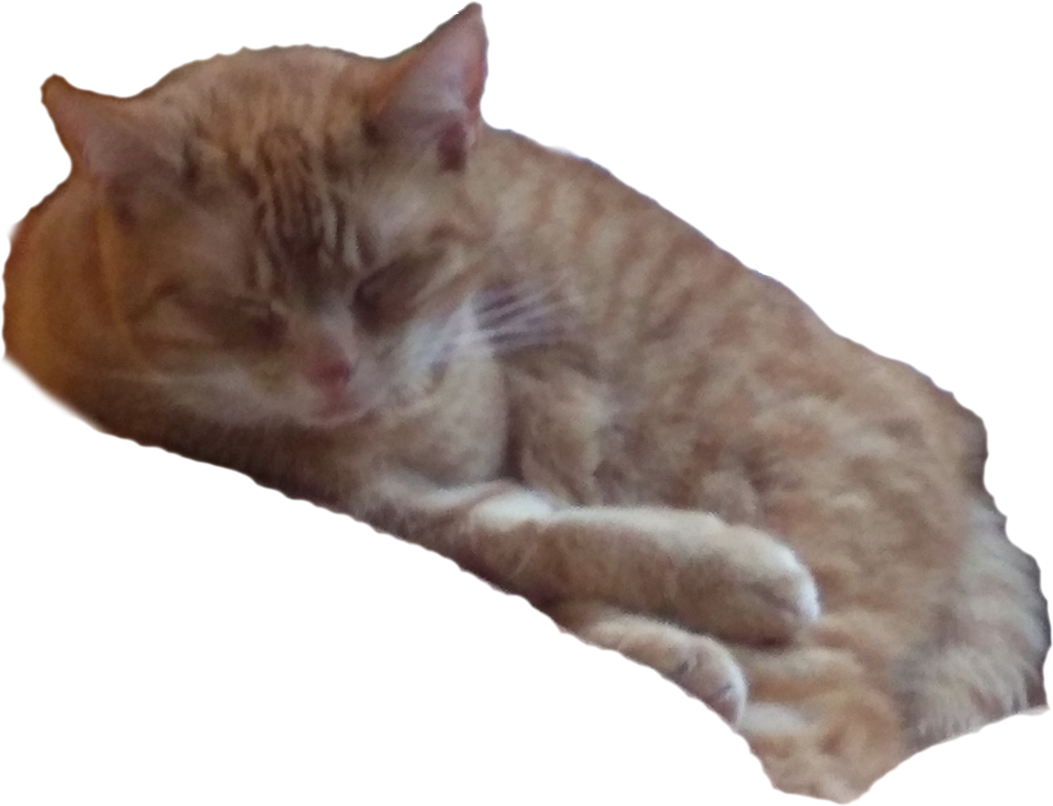 Half asleep Bibi