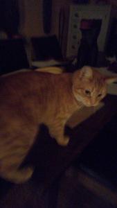 Bibi in darkness